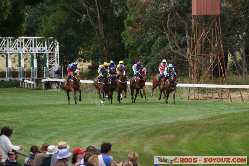 Hanging Rock - New Year Day Races
Mots-clés: sport animals cheval