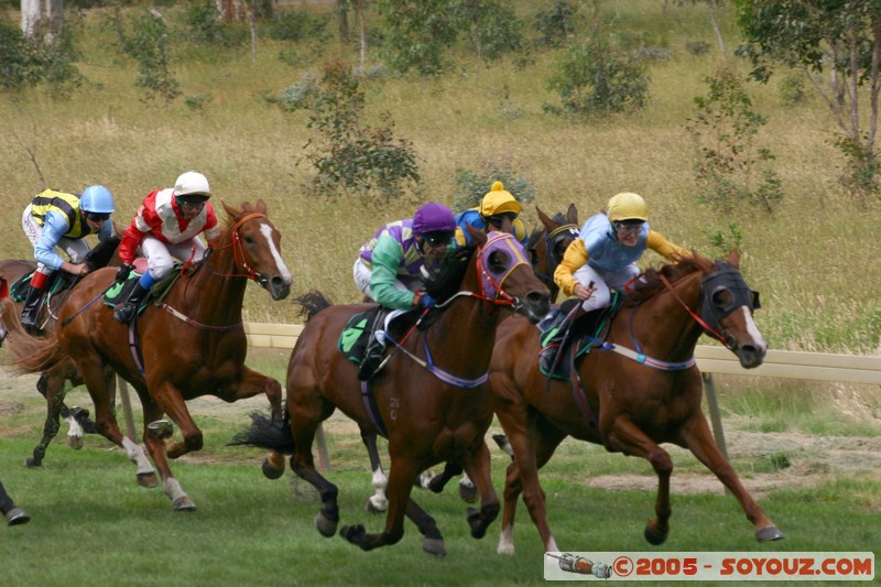 Hanging Rock - New Year Day Races
Mots-clés: sport animals cheval