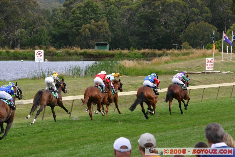 Hanging Rock - New Year Day Races
Mots-clés: sport animals cheval