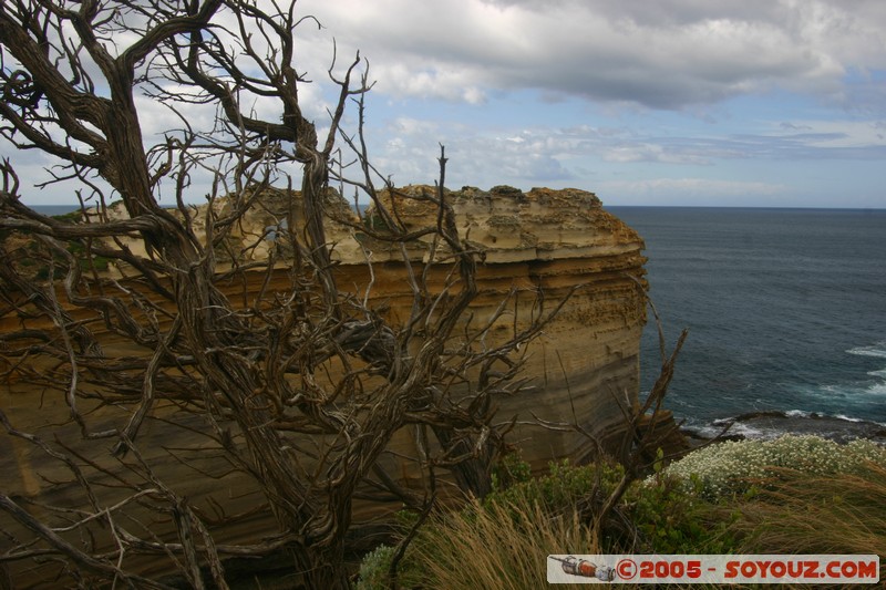 Great Ocean Road - Loch Ard Gorge -  The Razorback
