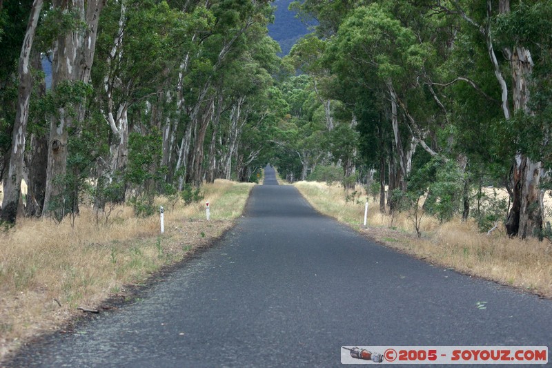The Grampians - Victoria Valley Road
Mots-clés: Route