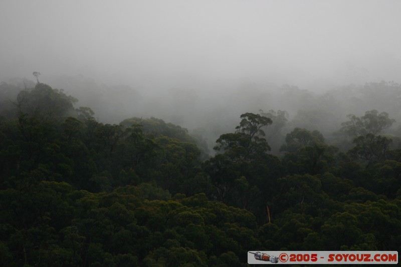 The Grampians - Mt Victory Road
Mots-clés: Arbres
