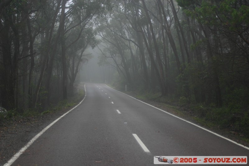 The Grampians - Mt Victory Road
Mots-clés: Route brume