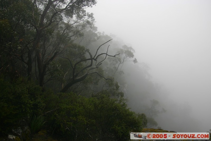 The Grampians - Mt Victory Road
Mots-clés: brume Arbres