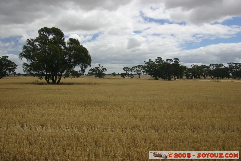The Wimmera - C213 - Natimuk Frances Road
