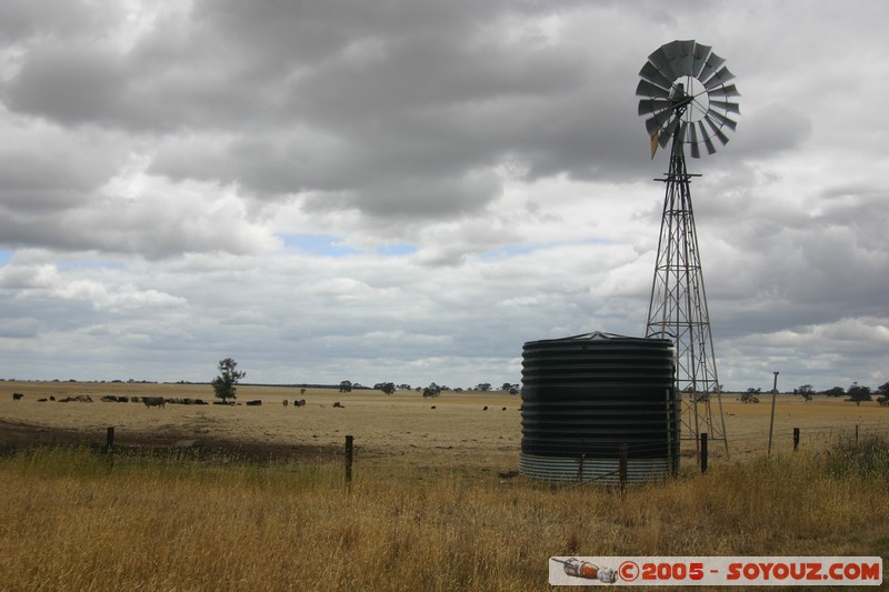 The Wimmera - C213 - Natimuk Frances Road
Mots-clés: Eolienne