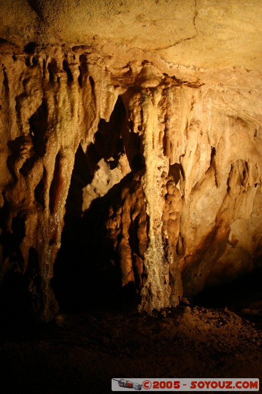 Naracoorte - Alexandra Cave
Mots-clés: patrimoine unesco grotte