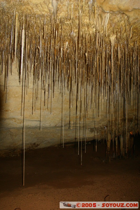 Naracoorte - Alexandra Cave
Mots-clés: patrimoine unesco grotte