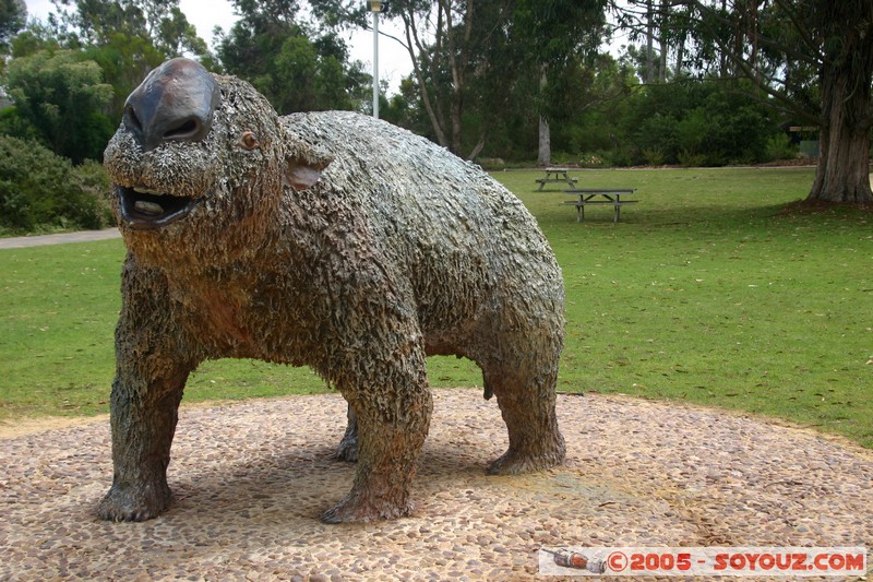 Naracoorte - Diprotodon australis
Mots-clés: patrimoine unesco grotte