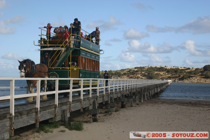 Victor Harbor - Granite Island - Tramway
Mots-clés: animals cheval