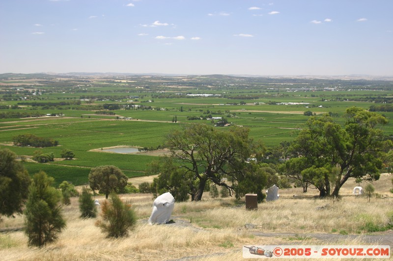 Barossa Valley - Menglers Hill Lookout
