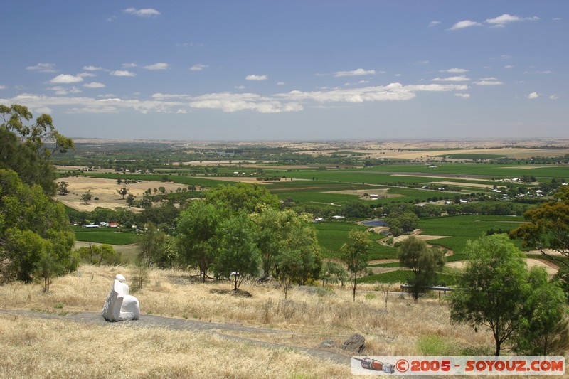 Barossa Valley - Menglers Hill Lookout

