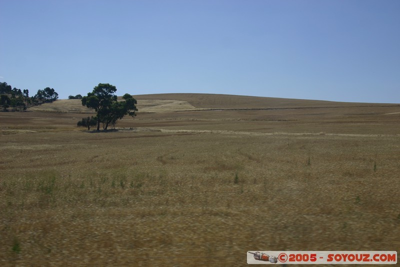 Barossa Valley - Langmeil wines
