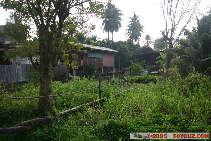 Damnoen Saduak
Mots-clés: thailand