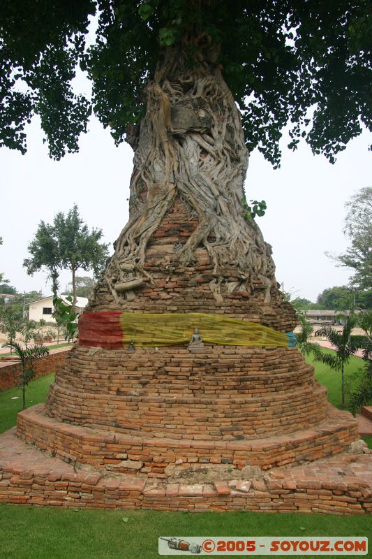 Ayutthaya - Wat Na Phra Men
Mots-clés: thailand patrimoine unesco Ruines Boudhiste