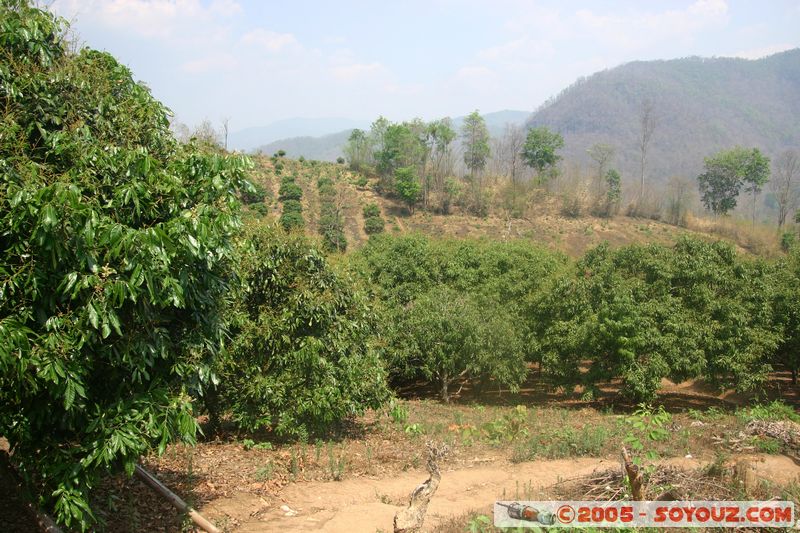 Around Chiang Mai
Mots-clés: thailand