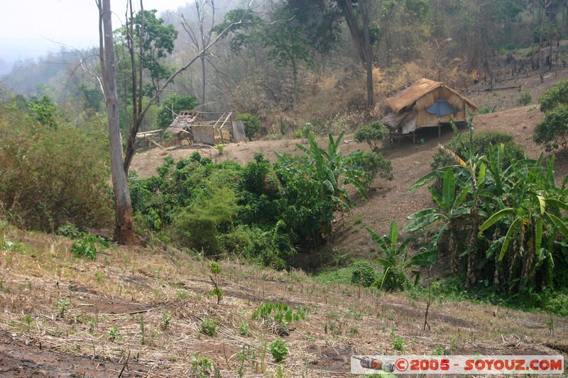 Around Chiang Mai
Mots-clés: thailand