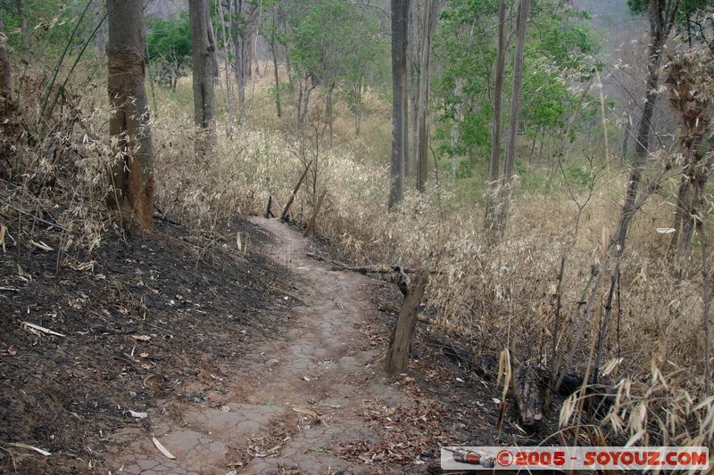 Around Chiang Mai
Mots-clés: thailand