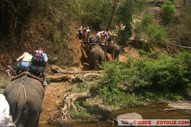 Around Chiang Mai - Elephant tour
Mots-clés: thailand animals Elephant