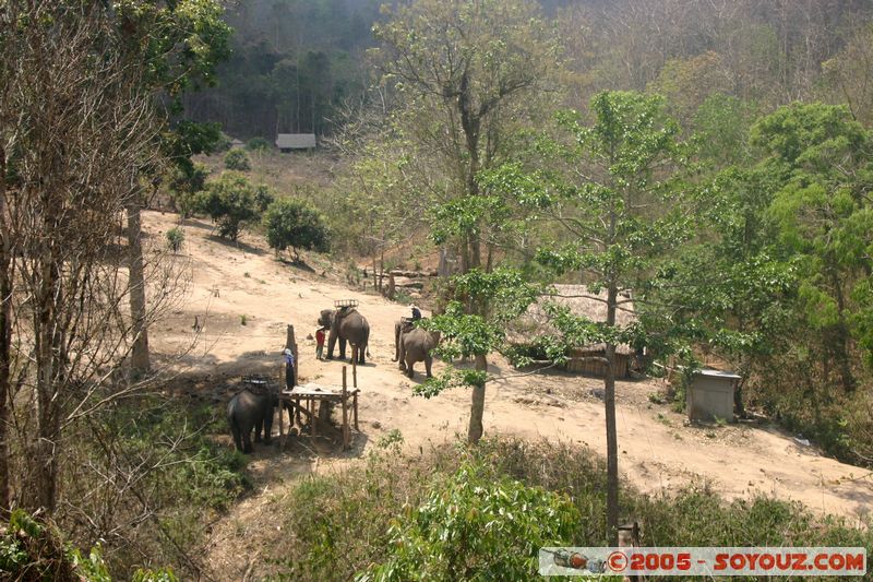 Around Chiang Mai - Elephant tour
Mots-clés: thailand animals Elephant
