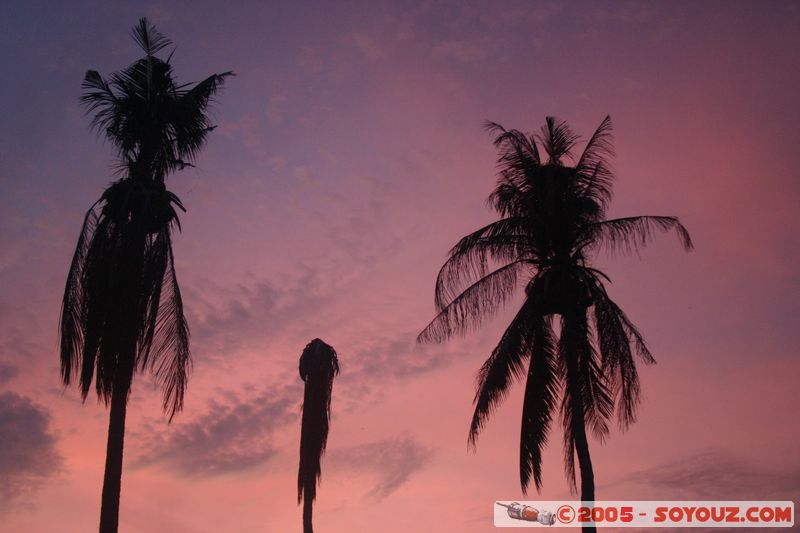 Koh Phi Phi Don - Ao Tonsai - Sunset
Mots-clés: thailand sunset Arbres