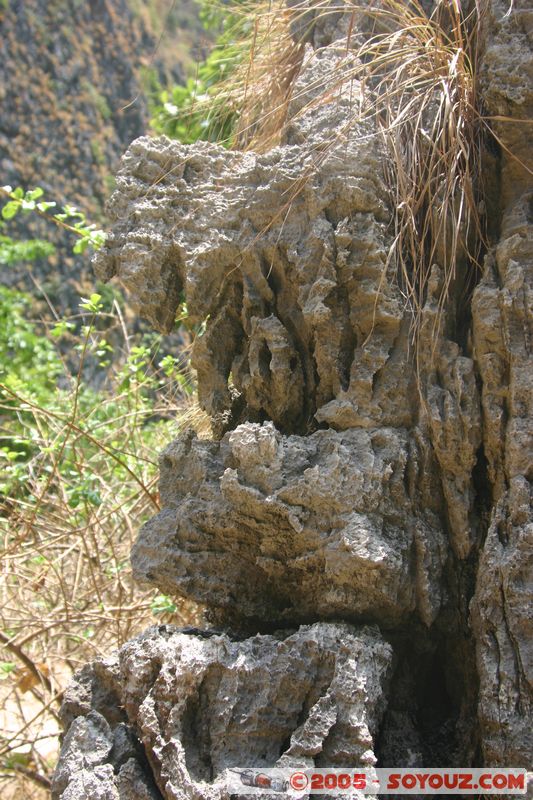 Koh Phi Phi Le
Mots-clés: thailand