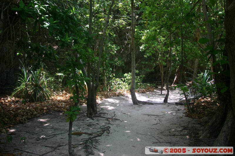 Koh Phi Phi Le
Mots-clés: thailand