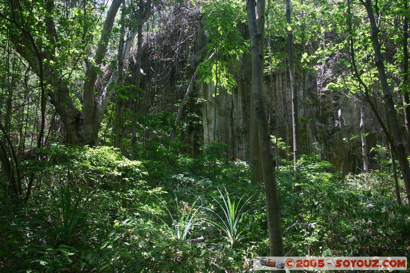 Koh Phi Phi Le
Mots-clés: thailand