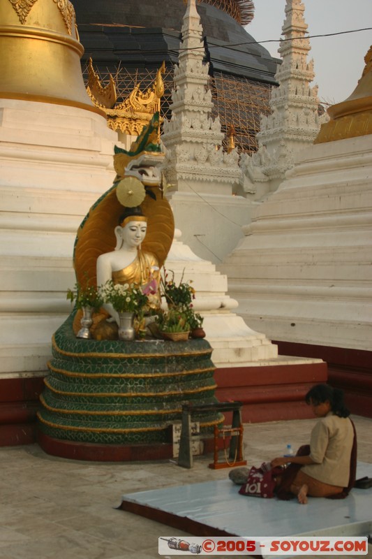 Yangon - Shwedagon Pagoda
Mots-clés: myanmar Burma Birmanie Pagode sunset