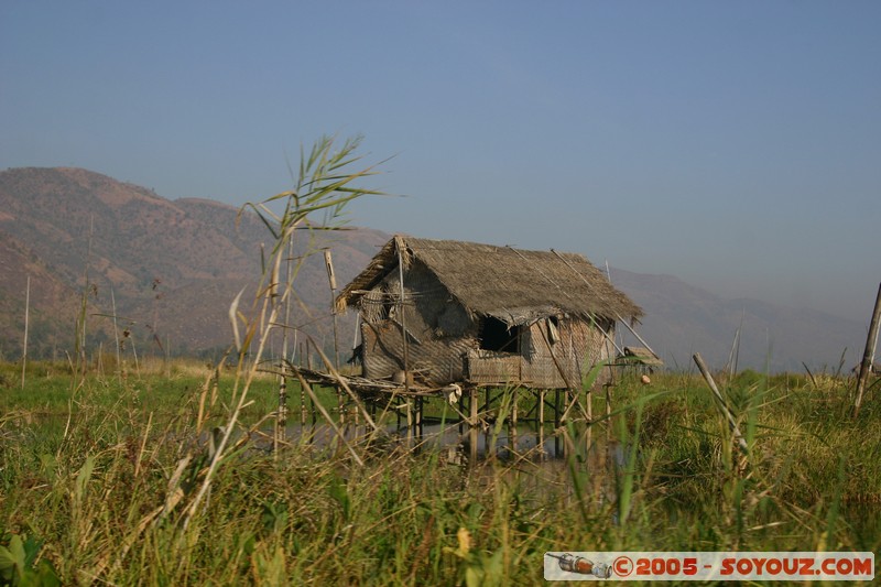 Inle lake - Lingin
Mots-clés: myanmar Burma Birmanie Lac