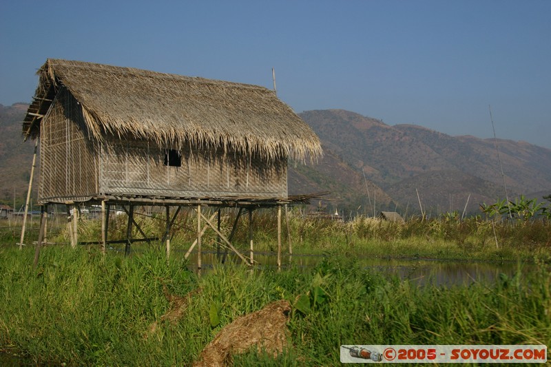 Inle lake - Lingin
Mots-clés: myanmar Burma Birmanie Lac
