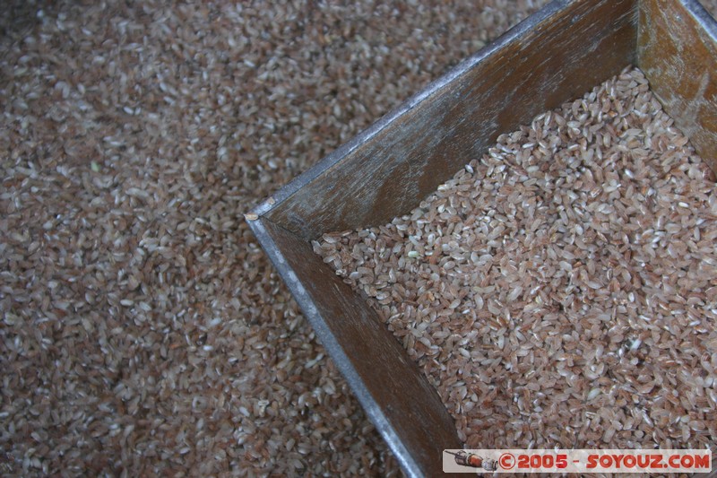 Inle lake - Lingin - Marche
Mots-clés: myanmar Burma Birmanie Marche