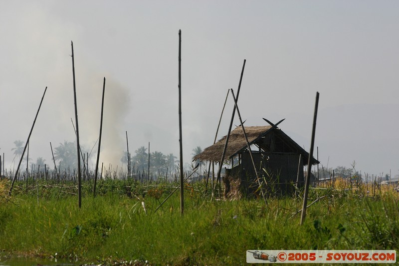 Inle lake - Kela - jardins flottants
Mots-clés: myanmar Burma Birmanie Lac