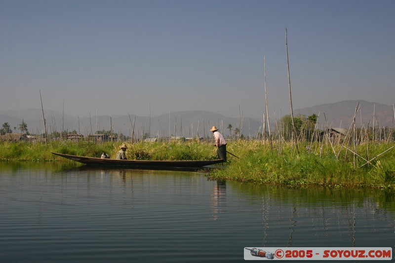 Inle lake - Kela - jardins flottants
Mots-clés: myanmar Burma Birmanie Lac