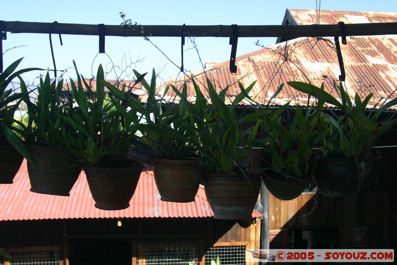 Inle lake - Inbawkon
Mots-clés: myanmar Burma Birmanie Lac