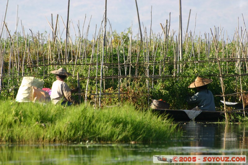 Inle lake - Ywama
Mots-clés: myanmar Burma Birmanie personnes Lac