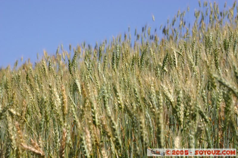 Nyaung Shwe Hills
Mots-clés: myanmar Burma Birmanie paysage