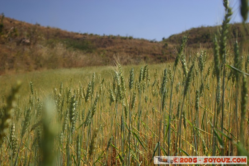 Nyaung Shwe Hills
Mots-clés: myanmar Burma Birmanie paysage