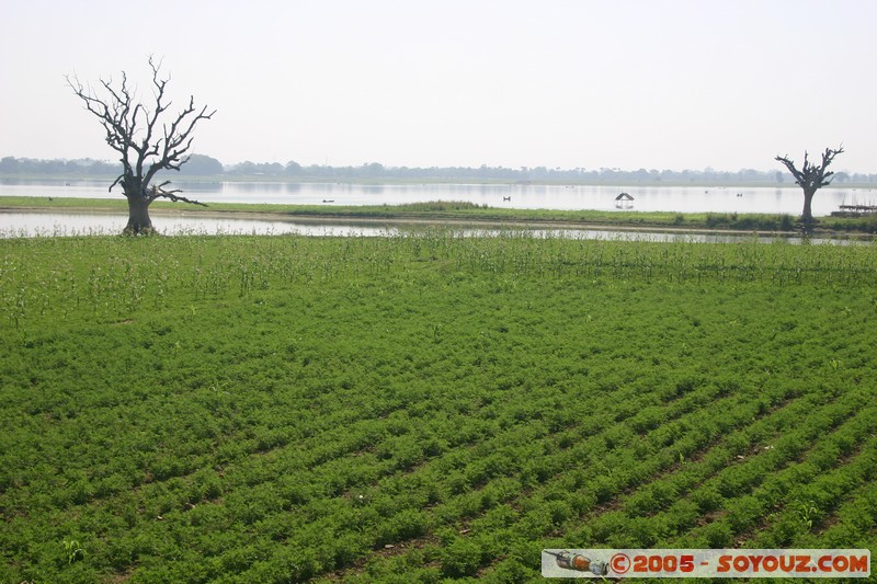 Amarapura
Mots-clés: myanmar Burma Birmanie