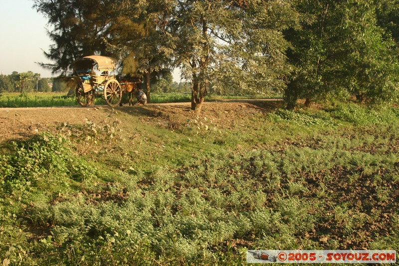 Inwa
Mots-clés: myanmar Burma Birmanie
