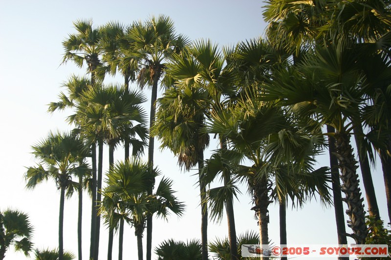 Inwa
Mots-clés: myanmar Burma Birmanie