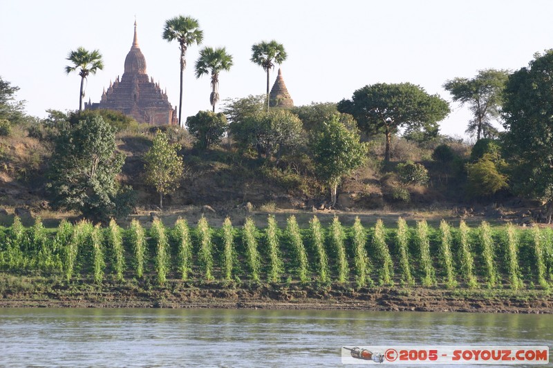 Bagan - Ayeyarwady river
Mots-clés: myanmar Burma Birmanie Riviere Ruines Pagode