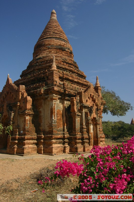 Bagan
Mots-clés: myanmar Burma Birmanie Ruines Pagode