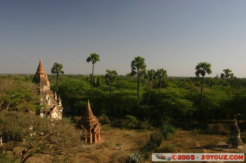Bagan - Kyan-Sit-Thar Umin-Lay
Mots-clés: myanmar Burma Birmanie Ruines Pagode