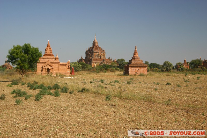 Bagan - Hti-lo-min-lo Pahto
Mots-clés: myanmar Burma Birmanie Ruines Pagode