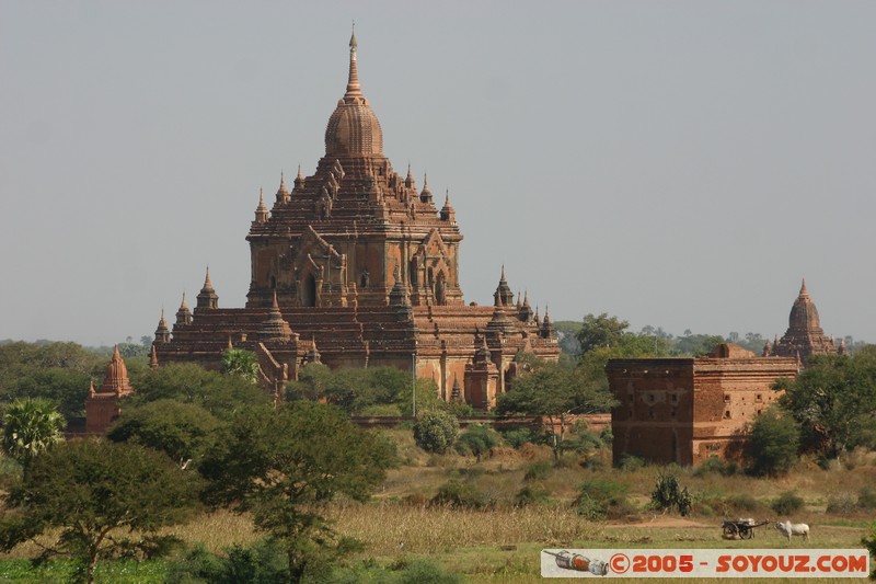 Bagan - Hti-lo-min-lo Pahto
Mots-clés: myanmar Burma Birmanie Ruines Pagode