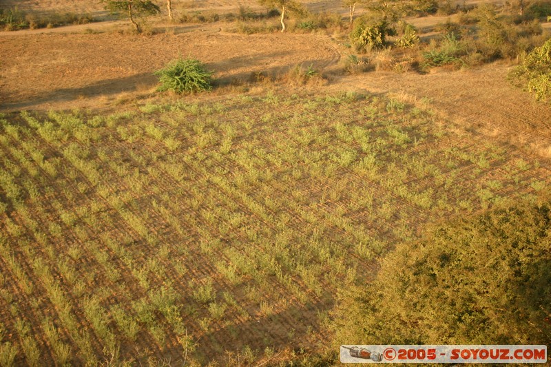 Bagan
Mots-clés: myanmar Burma Birmanie sunset