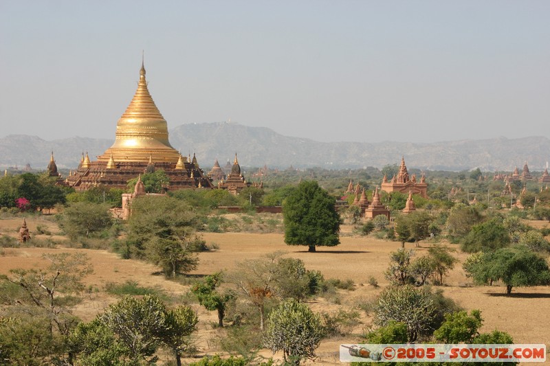 Bagan - Dhamma-ya-za-ka Zedi
Mots-clés: myanmar Burma Birmanie Ruines Pagode