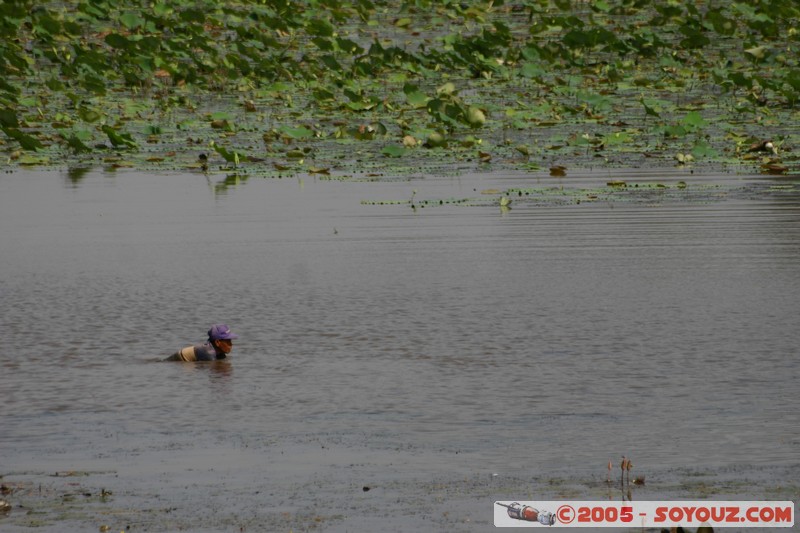 Angkor Thom - Douves
Mots-clés: patrimoine unesco Ruines