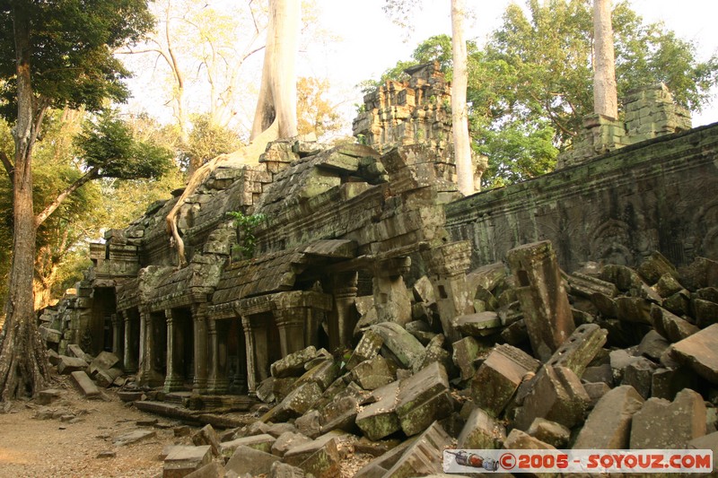 Angkor - Ta Prohm
Mots-clés: patrimoine unesco Ruines sunset